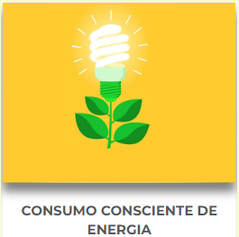 REEDUCAÇÃO ELÉTRICA — imagem 3
